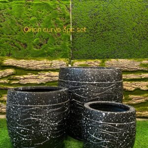 Orion Curve 3 PC Set