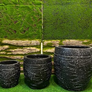 Orion Curve 3 PC Set