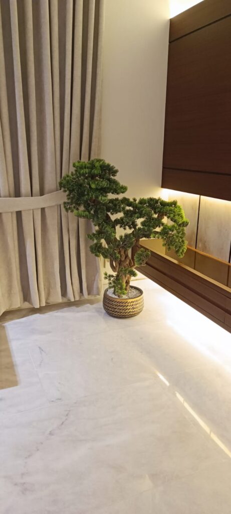 WhatsApp Image 2025-11-15 at 11.15.55_fcd95786