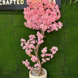 cherry blossom